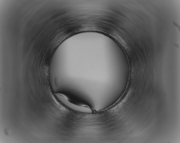 X0000098090849200804251253