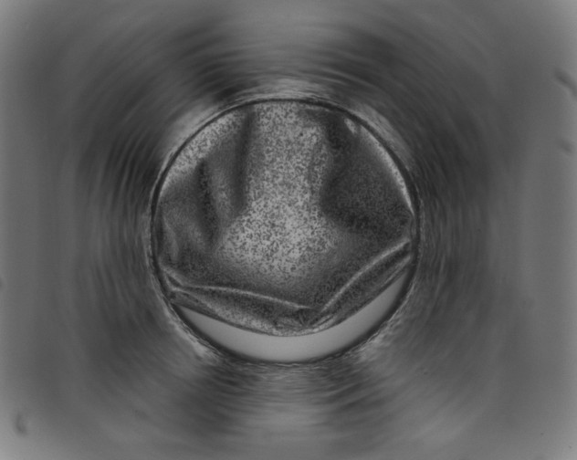 X0000098090850200804251253