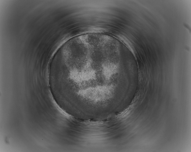 X0000098090851200804251253