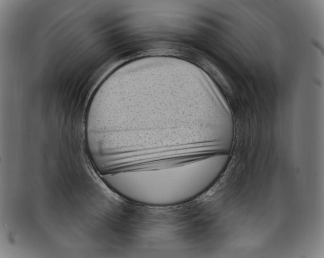 X0000098090852200804251253