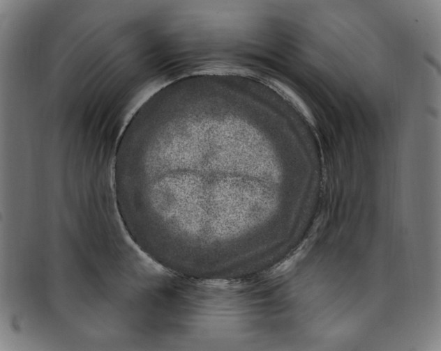 X0000098090855200804251253