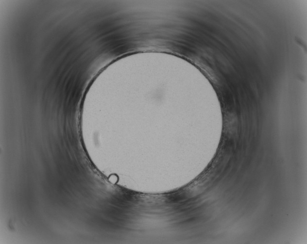 X0000098090856200804251253