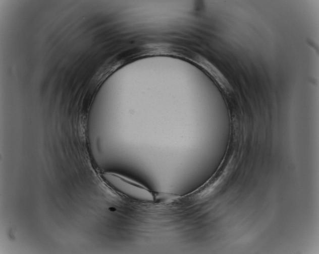 X0000098090857200804251253