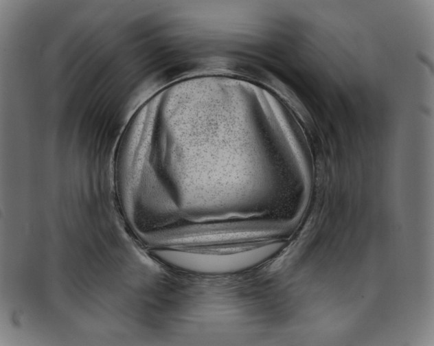 X0000098090858200804251253