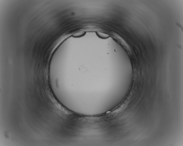 X0000098090860200804251253