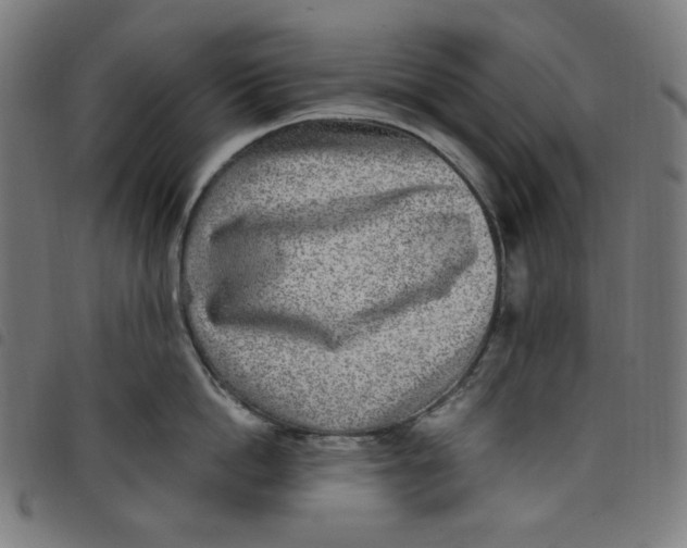 X0000098090862200804251253