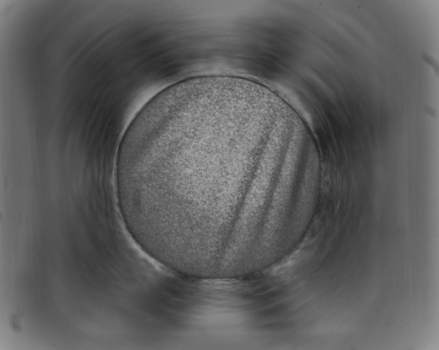 X0000098090863200804251253