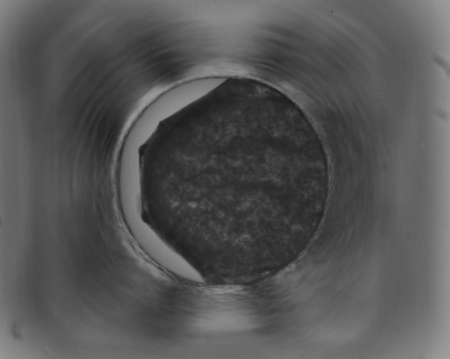 X0000098090864200804251253