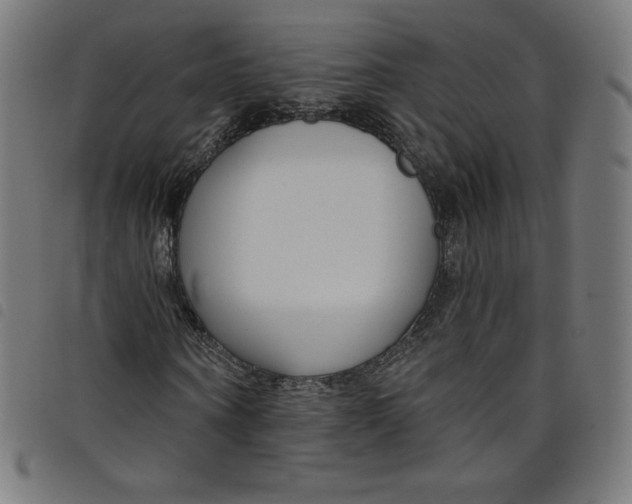 X0000098090866200804251252