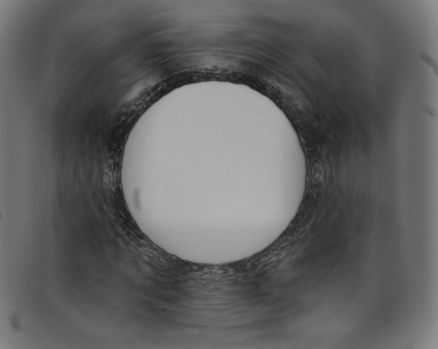 X0000098090869200804251252