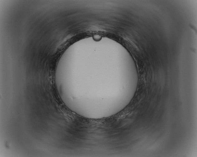 X0000098090870200804251252