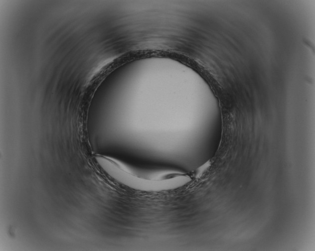 X0000098090872200804251252