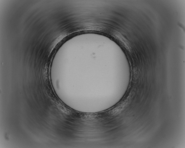 X0000098090875200804251252