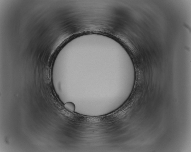 X0000098090878200804251252