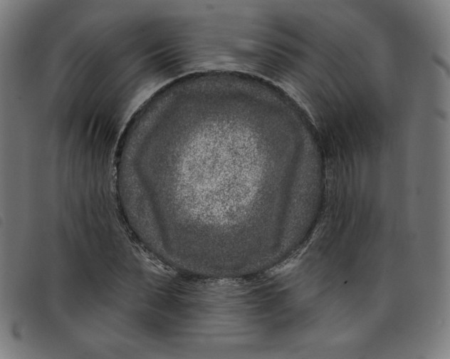 X0000098090879200804251252