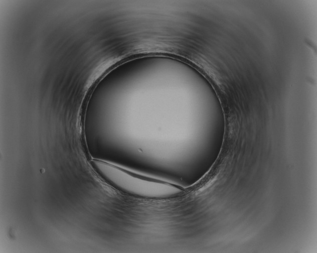X0000098090885200804251252
