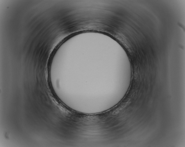 X0000098090888200804251252