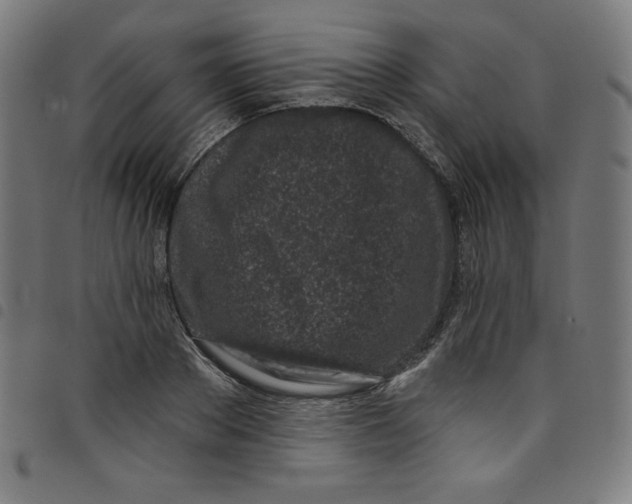 X0000098090889200804251252