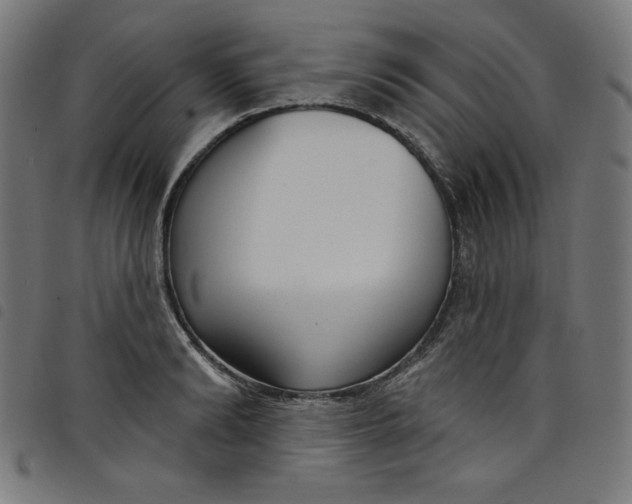 X0000098090894200804251252