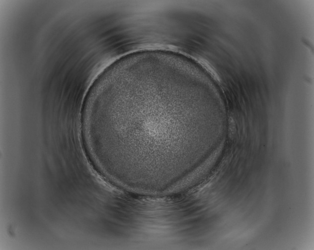 X0000098090895200804251252