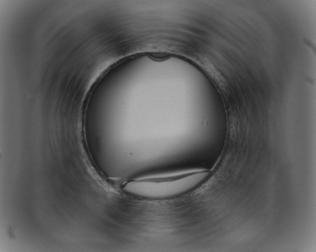 X0000098090896200804251252