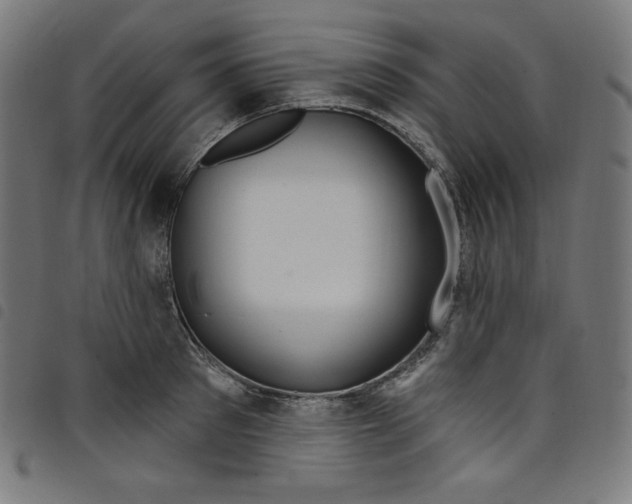X0000098090897200804251252