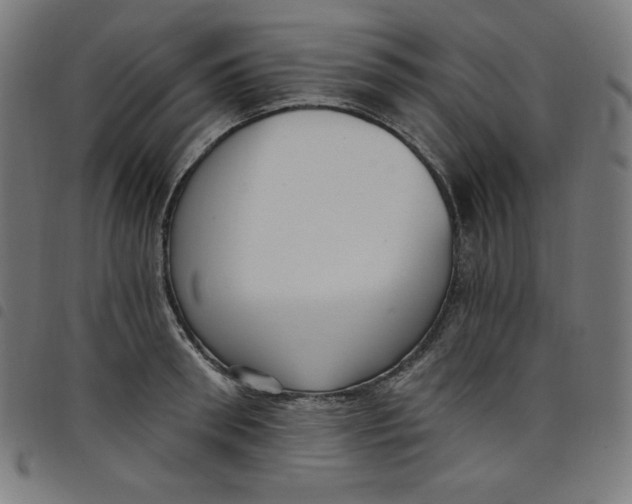 X0000098090898200804251252