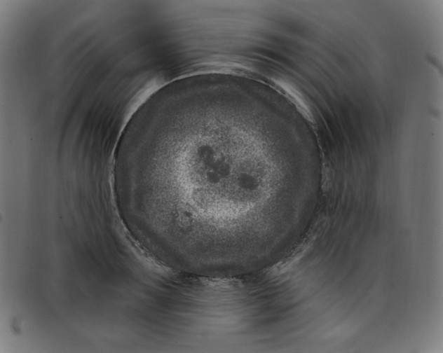 X0000098090899200804251252