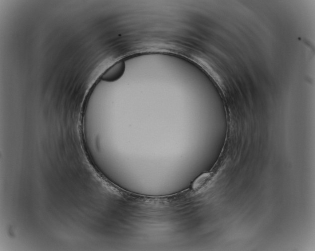 X0000098090901200804251252