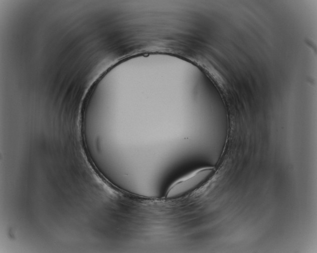 X0000098090902200804251252