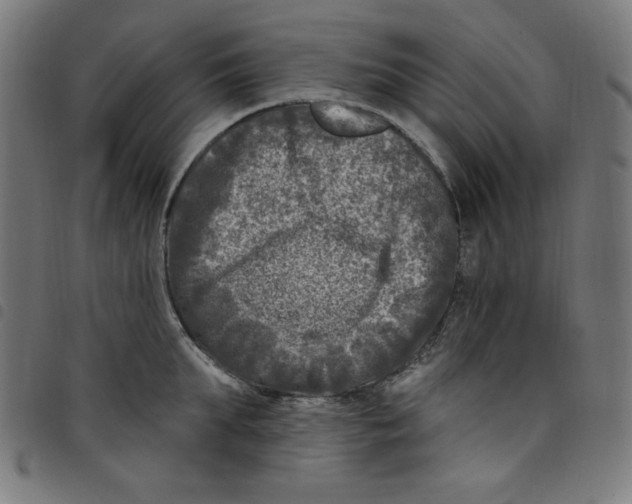 X0000098090903200804251252