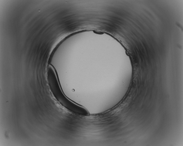 X0000098090904200804251252