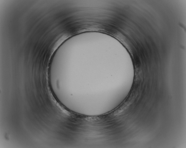 X0000098090906200804251252