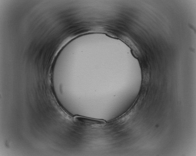 X0000098090908200804251252