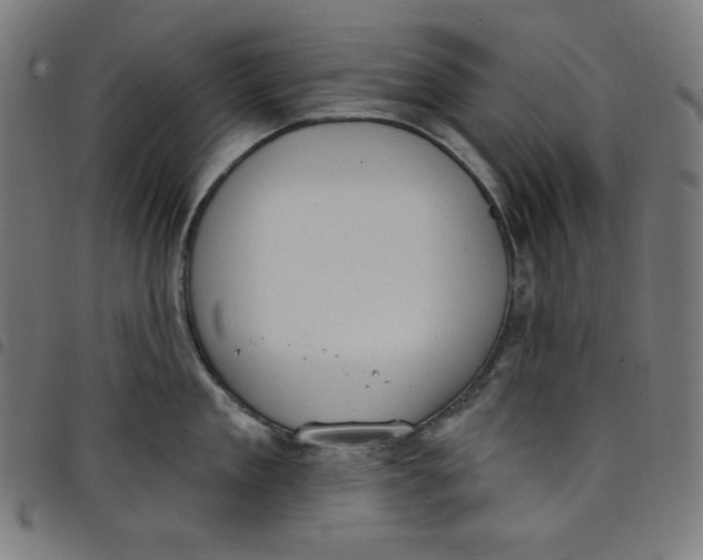 X0000098090909200804251252