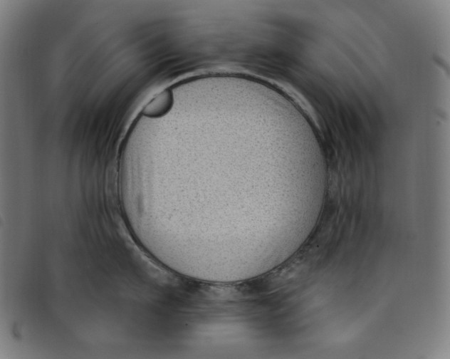 X0000098090911200804251252