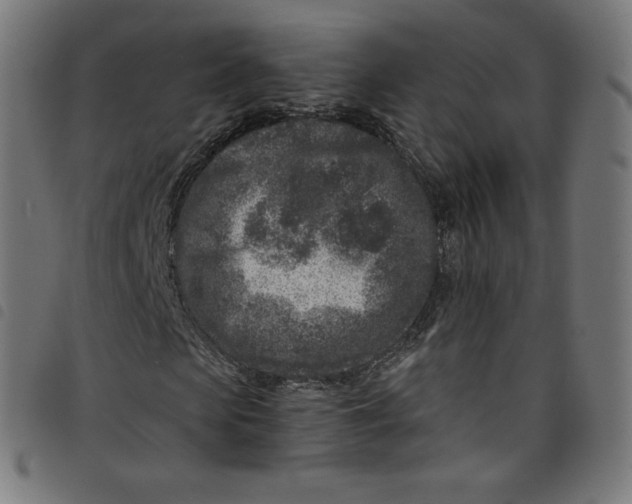 X0000098090913200804251251