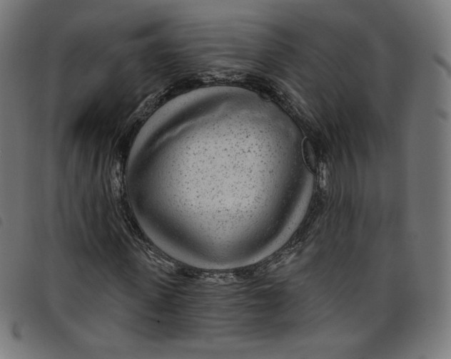 X0000098090915200804251251