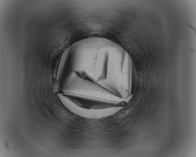 X0000098090916200804251251