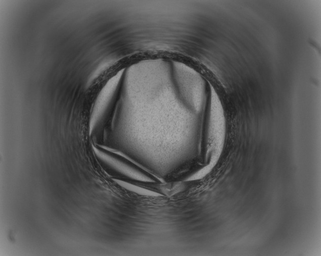 X0000098090919200804251251