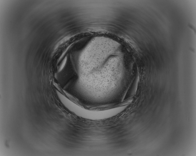 X0000098090920200804251251