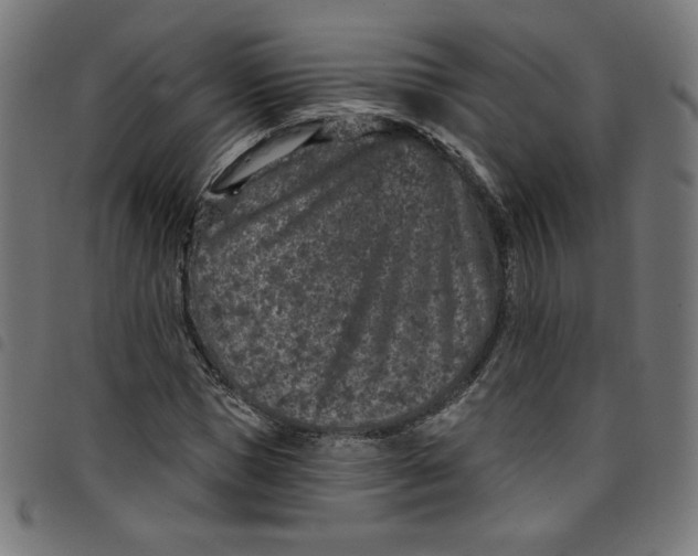 X0000098090921200804251251