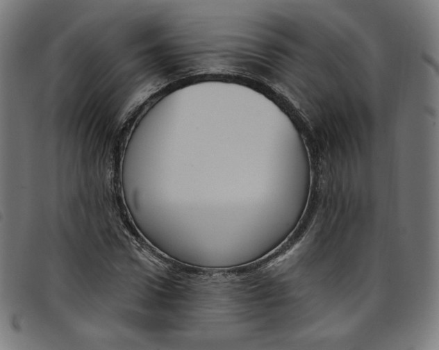 X0000098090922200804251251