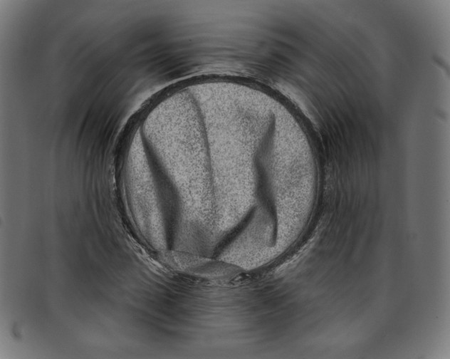 X0000098090923200804251251