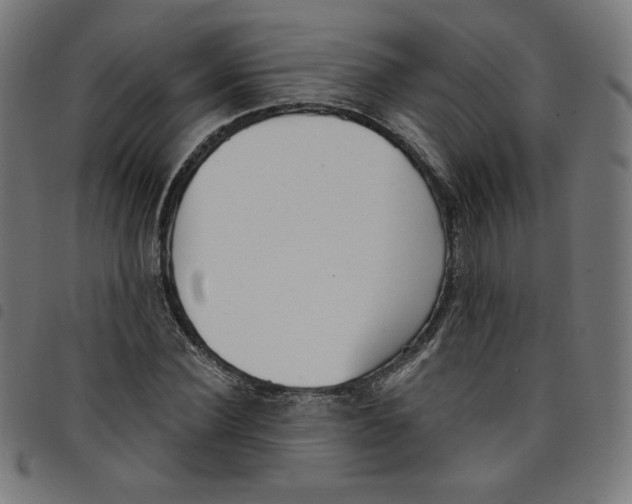 X0000098090924200804251251