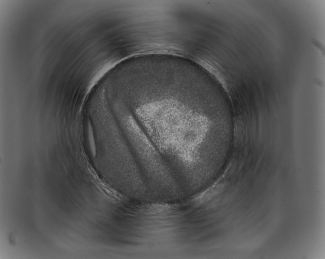 X0000098090925200804251251