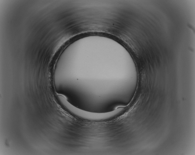 X0000098090926200804251251
