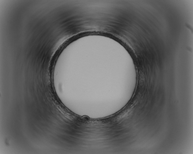 X0000098090927200804251251