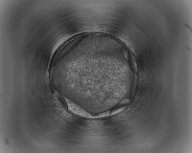 X0000098090928200804251251