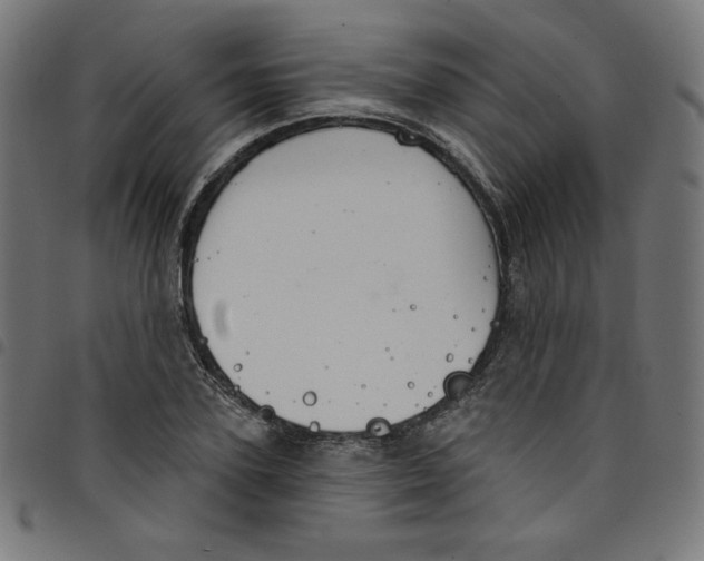 X0000098090931200804251251